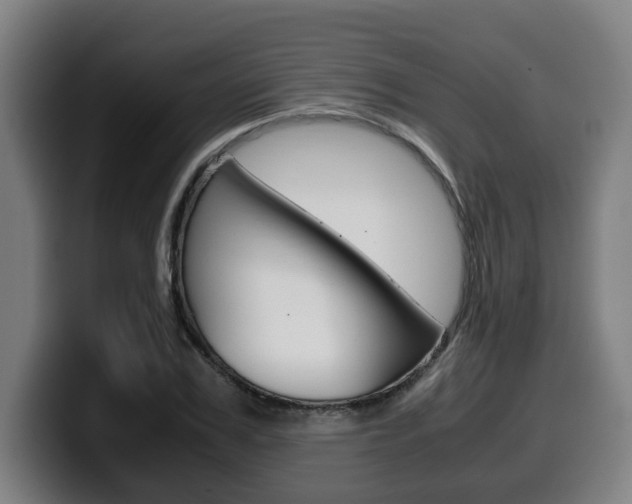 X0000099490979200805150924