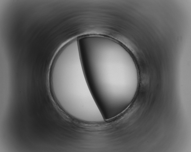 X0000099490980200805150924