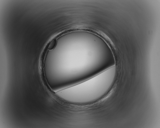 X0000099490981200805150924