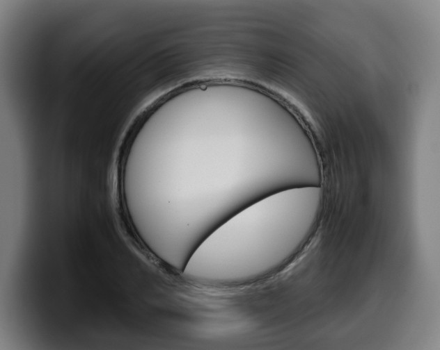 X0000099490982200805150924