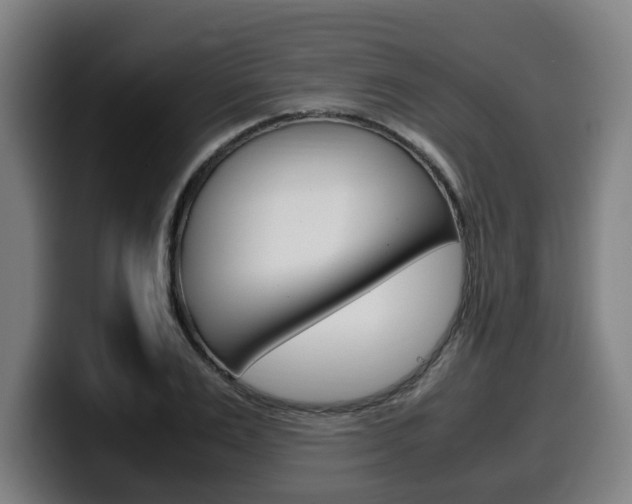 X0000099490983200805150924