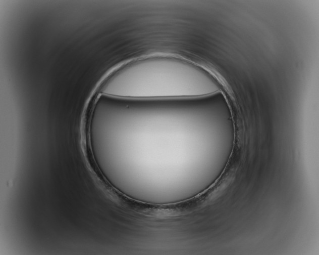 X0000099490984200805150924