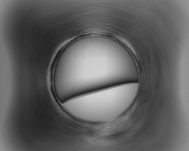 X0000099490987200805150924