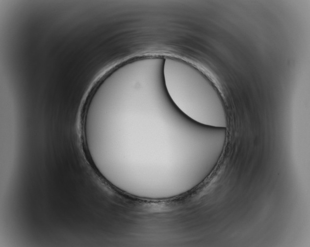 X0000099490990200805150924