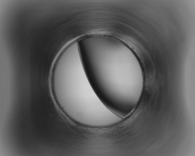 X0000099490992200805150924