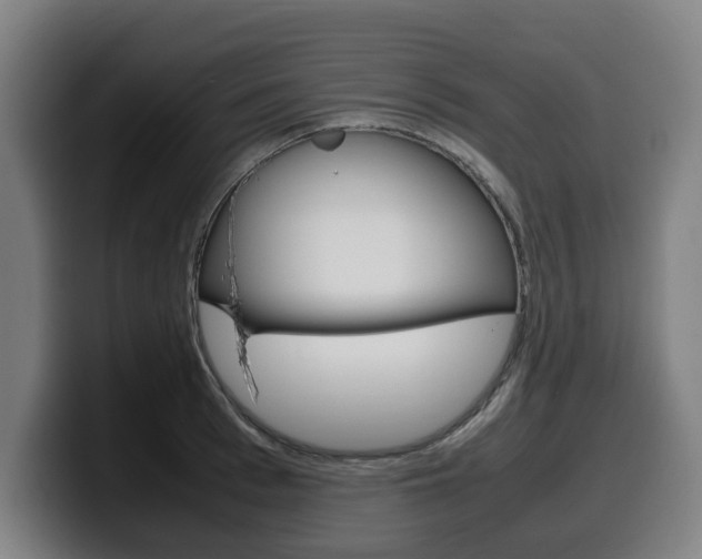 X0000099490993200805150924