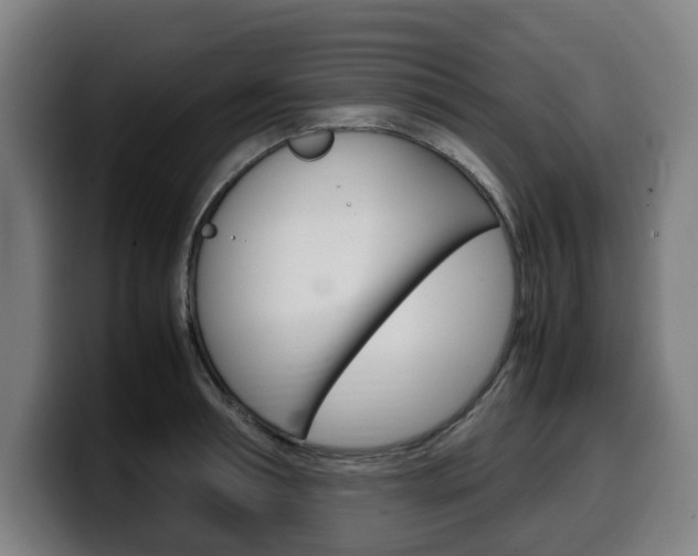 X0000099490994200805150924