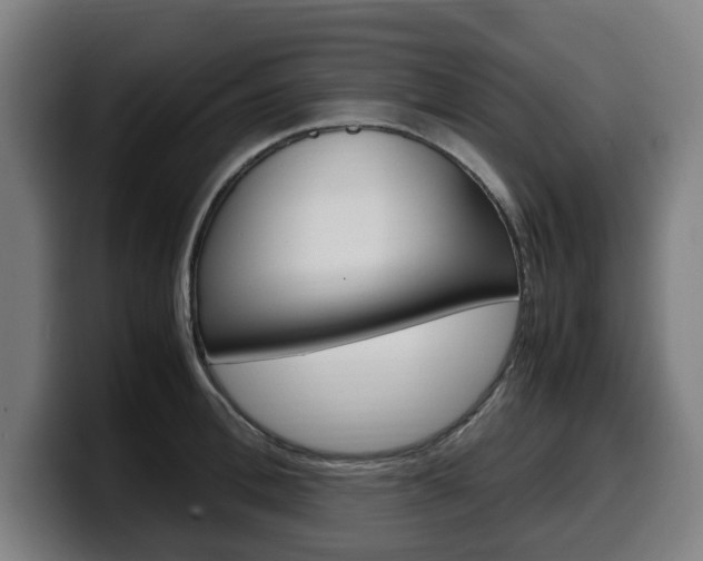 X0000099490996200805150924