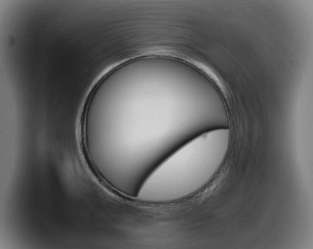 X0000099490999200805150924