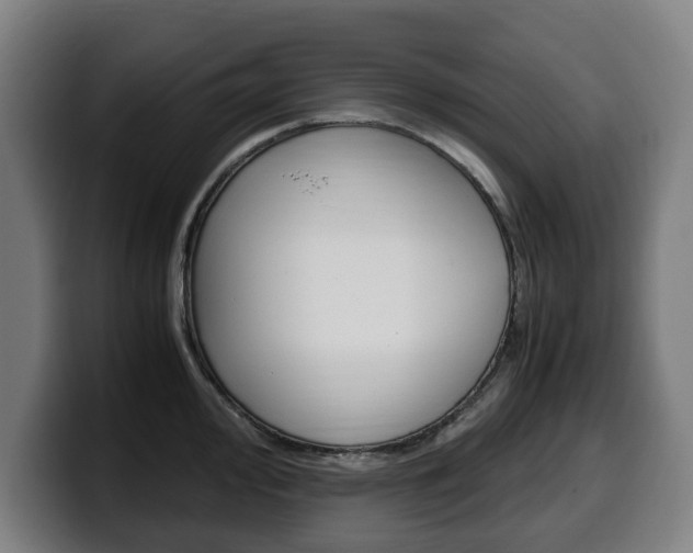 X0000099491000200805150924