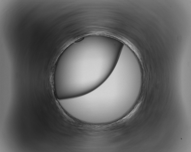 X0000099491001200805150924