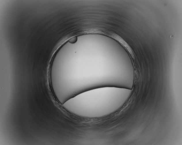 X0000099491002200805150924