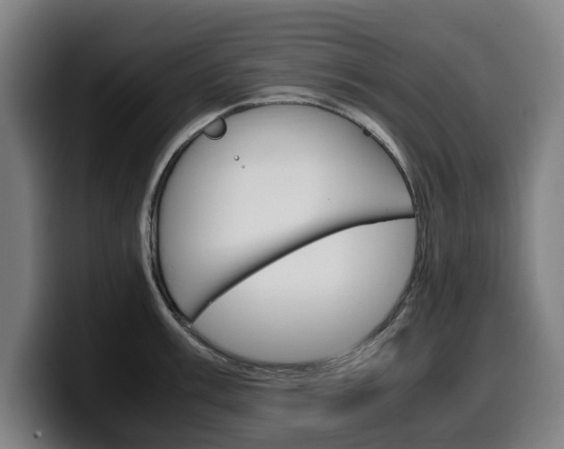 X0000099491003200805150924