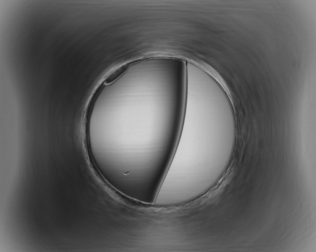 X0000099491005200805150924