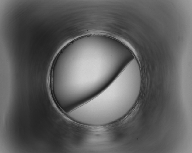 X0000099491007200805150924