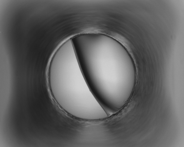X0000099491008200805150924