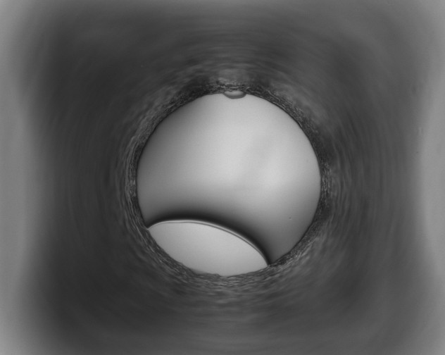 X0000099491009200805150923