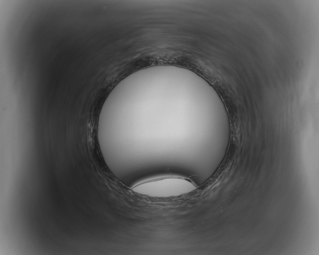 X0000099491010200805150923