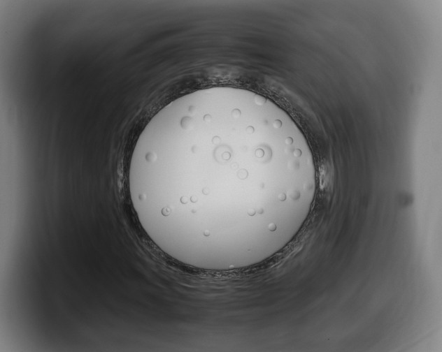 X0000099491011200805150923