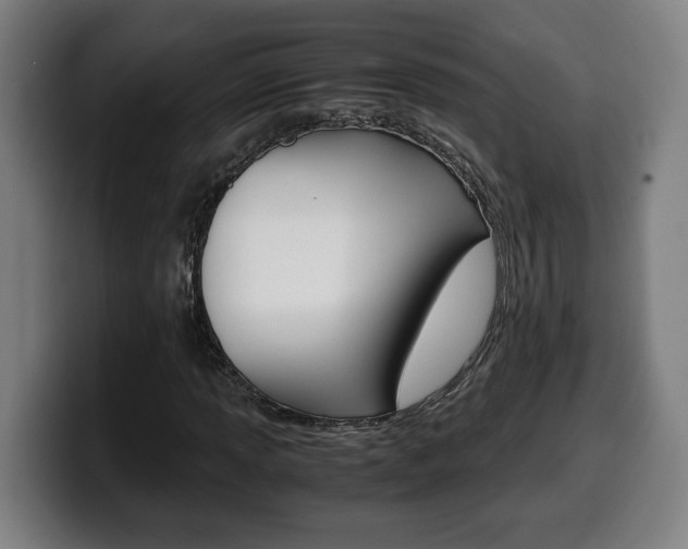 X0000099491013200805150923