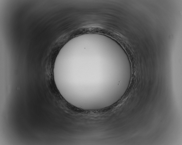 X0000099491014200805150923