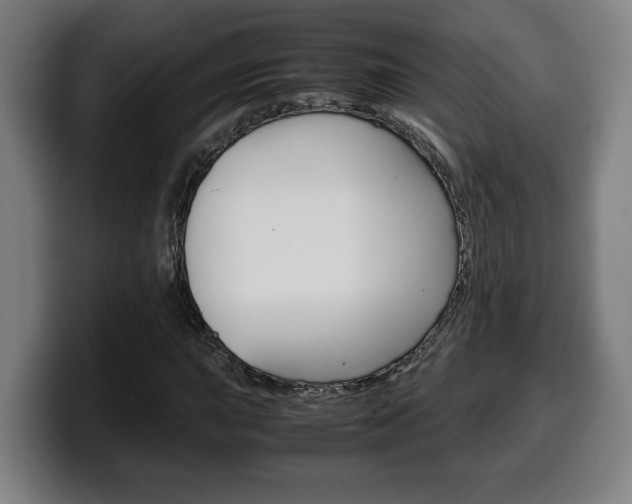 X0000099491015200805150923