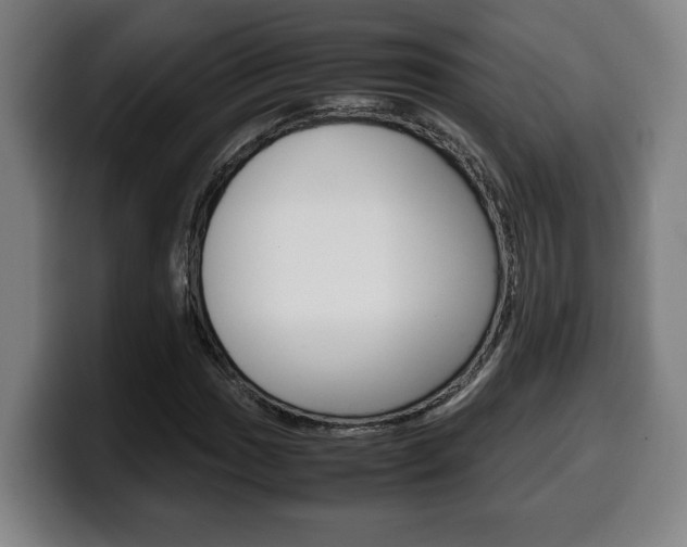 X0000099491017200805150923