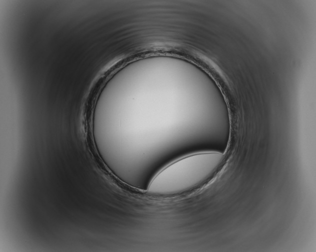 X0000099491018200805150923