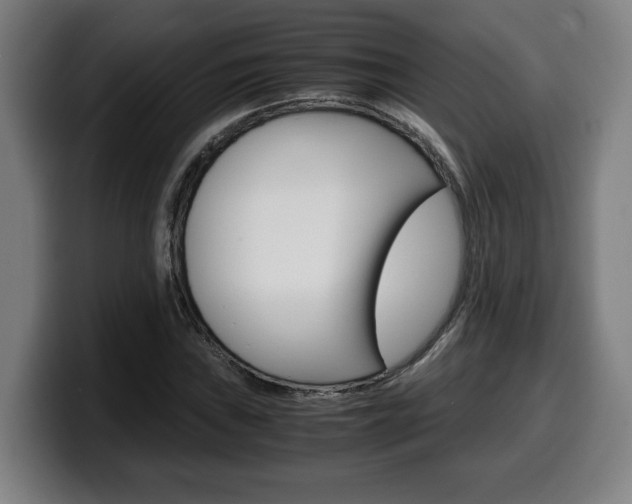 X0000099491019200805150923