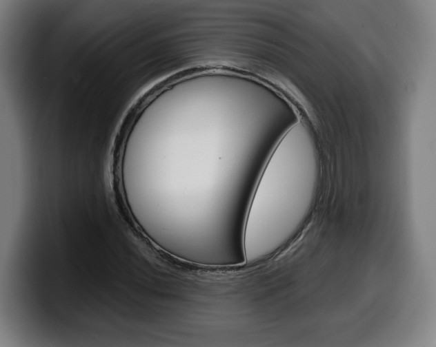 X0000099491020200805150923