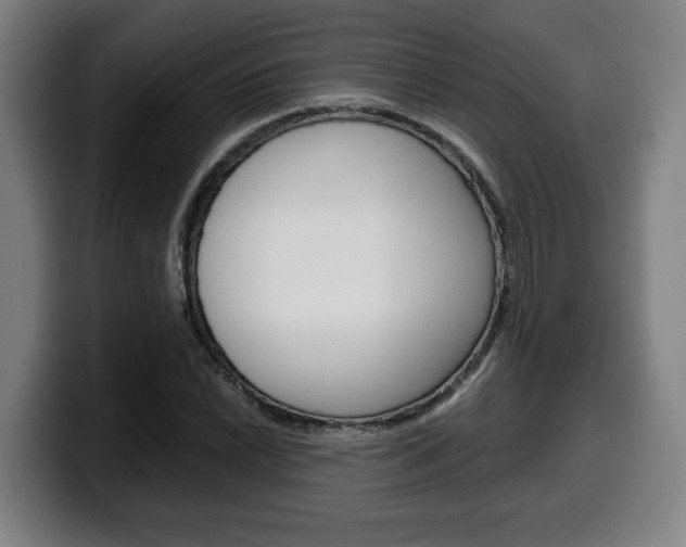 X0000099491022200805150923