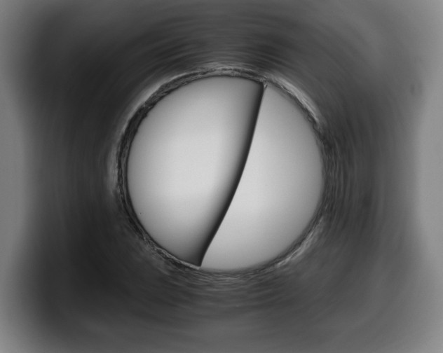 X0000099491023200805150923