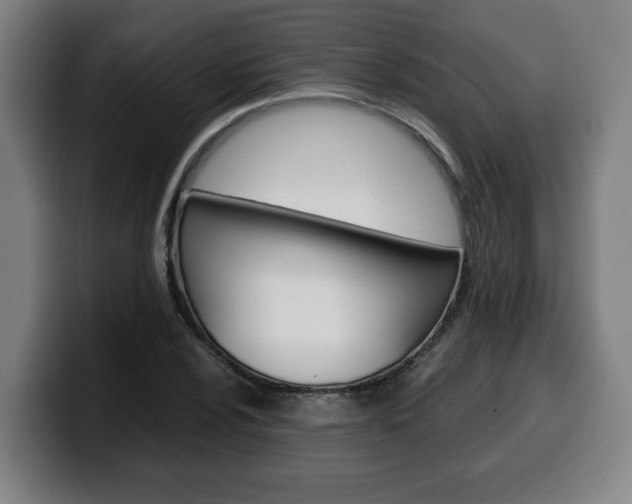 X0000099491024200805150923