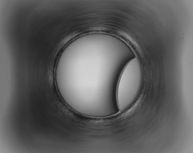 X0000099491025200805150923