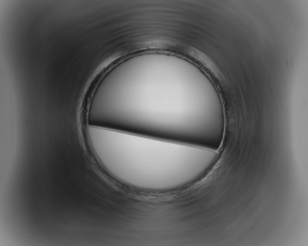 X0000099491026200805150923