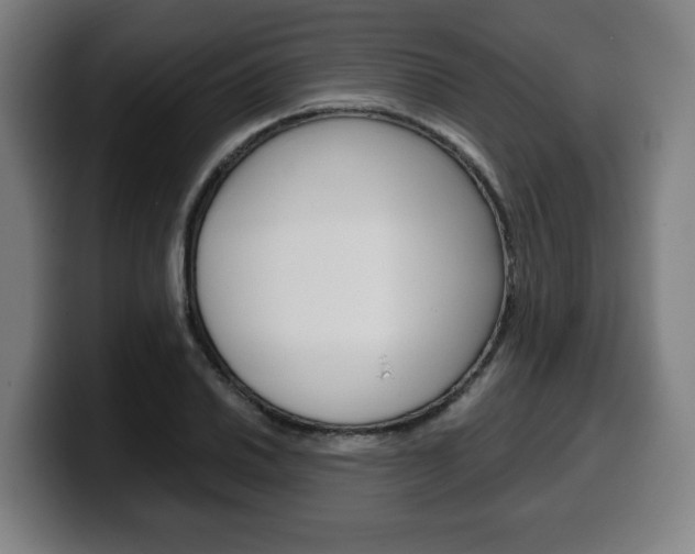 X0000099491030200805150923