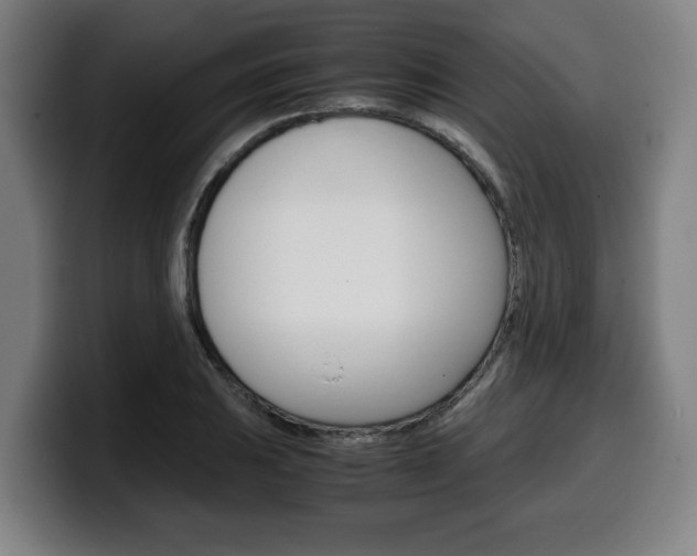 X0000099491031200805150923