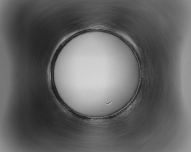 X0000099491032200805150923