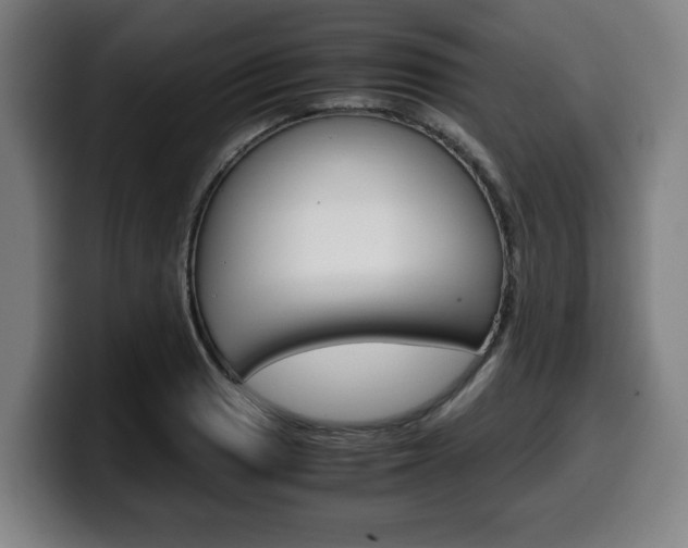 X0000099491033200805150923