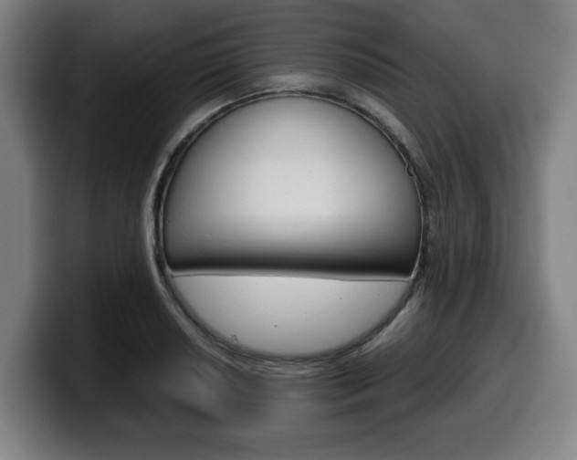 X0000099491034200805150923