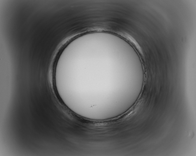 X0000099491035200805150923