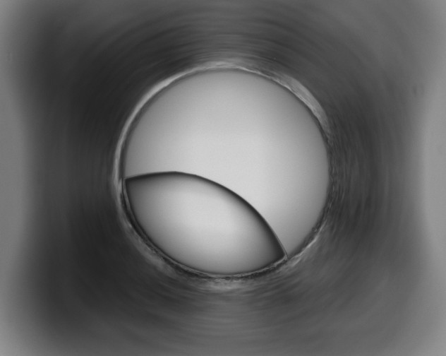 X0000099491036200805150923
