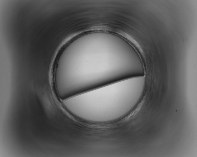 X0000099491037200805150923