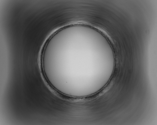 X0000099491038200805150923