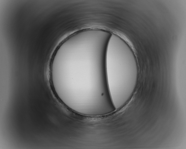 X0000099491040200805150923