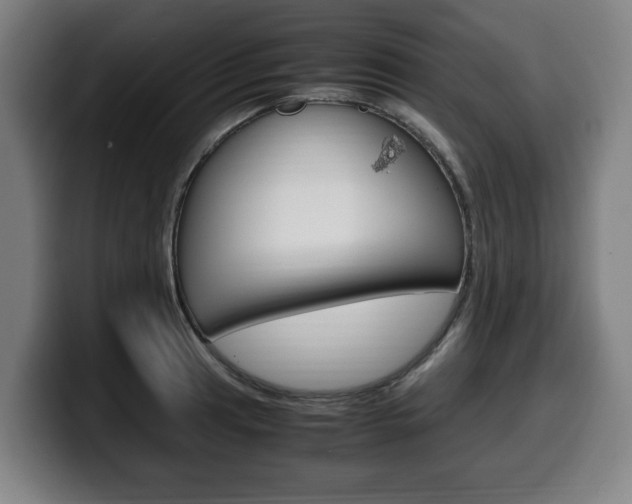 X0000099491041200805150923