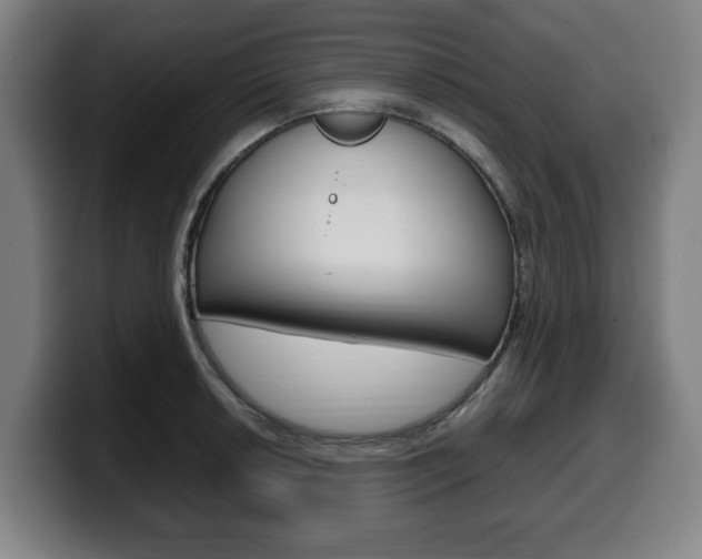 X0000099491042200805150923