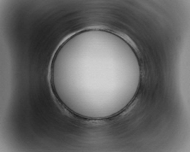 X0000099491044200805150923