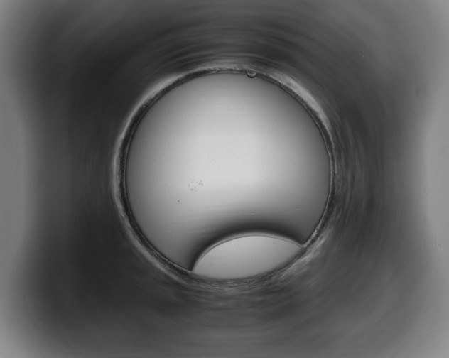 X0000099491045200805150923