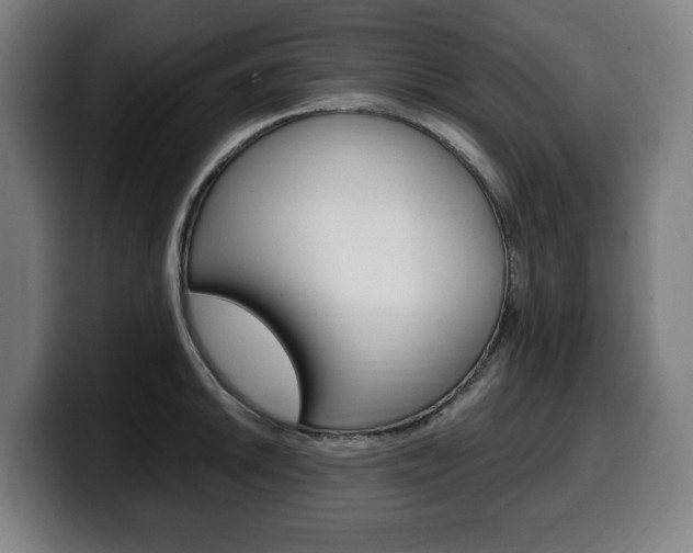 X0000099491046200805150923
